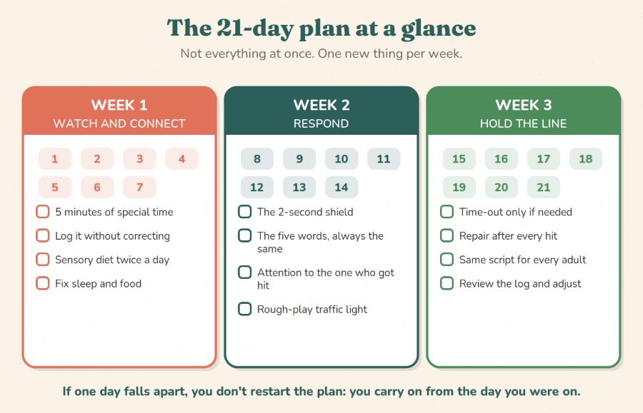 The 21-day plan, week by week